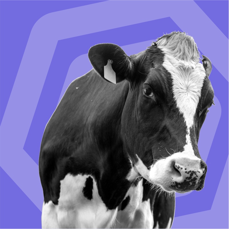 Розробка ECOMMERCE проектів - 5