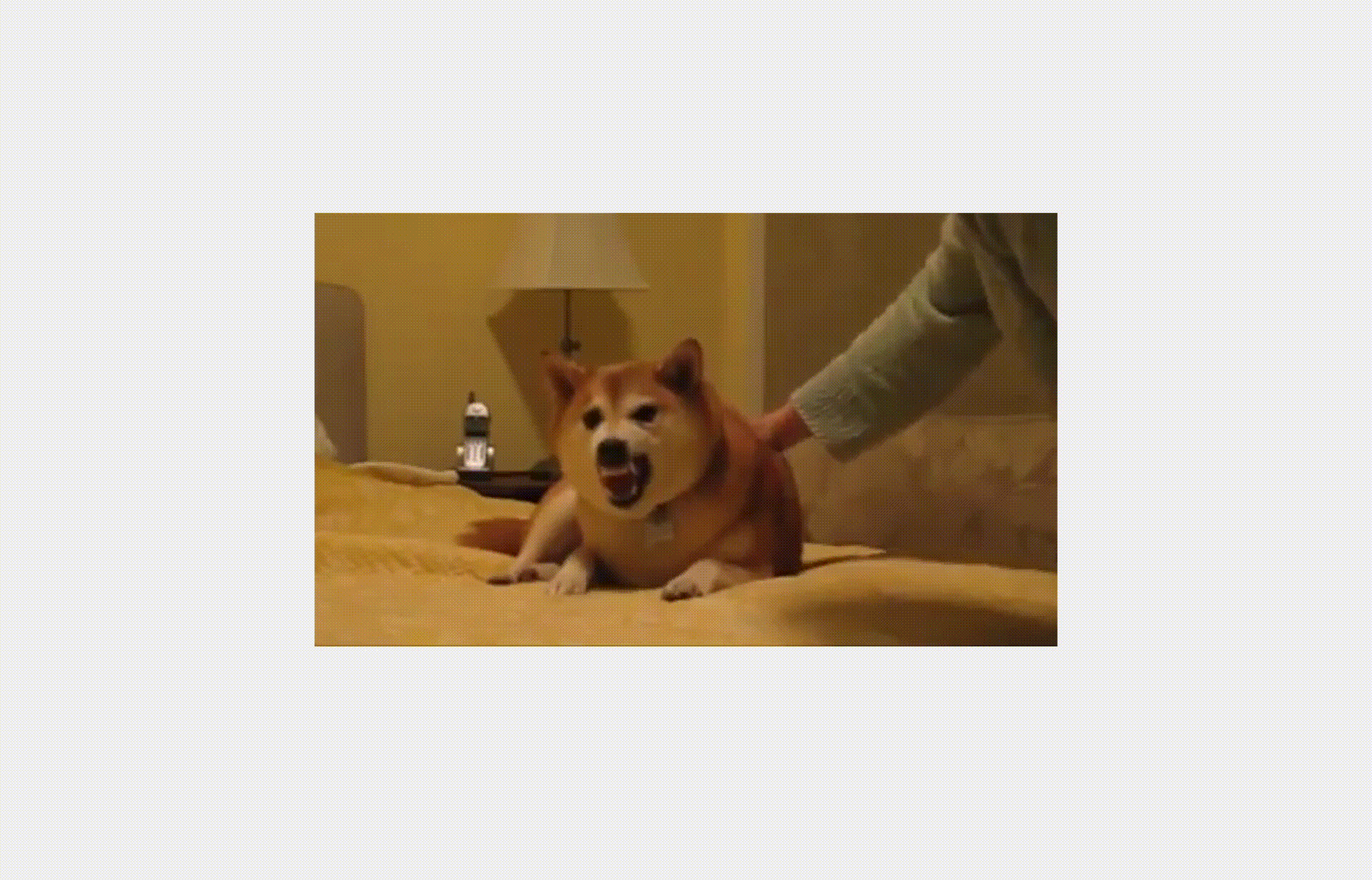 10-porad-yak-pokrashiti-lid-formu-dlya-krashogo-cr-13.gif Злий пес