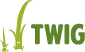 Логотип TWIG.
